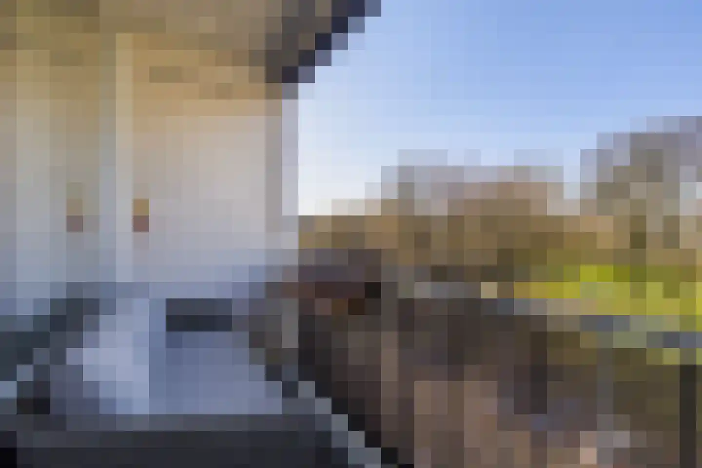 Bosseplaat 101 Rozenburg thumbnail 15