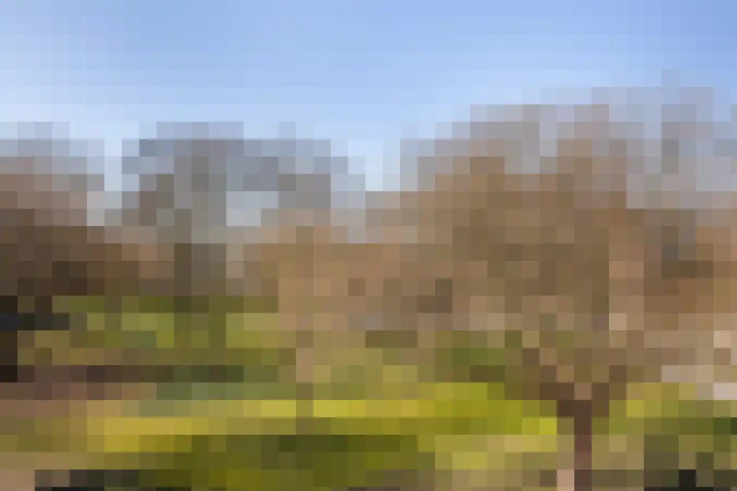 Bosseplaat 101 Rozenburg thumbnail 16