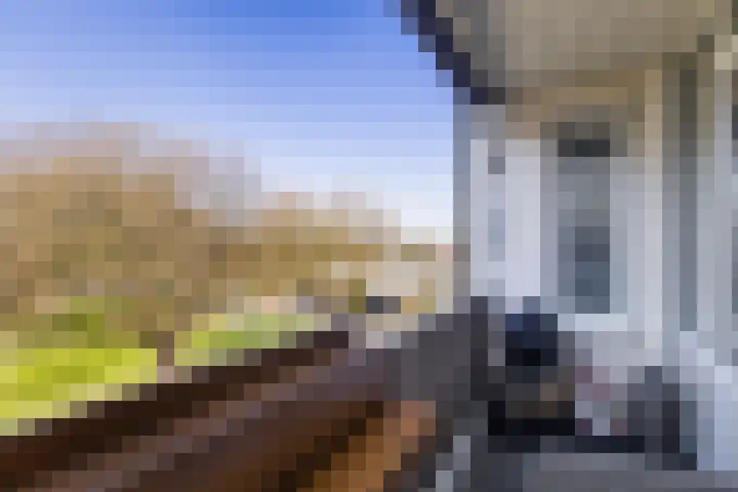 Bosseplaat 101 Rozenburg thumbnail 17