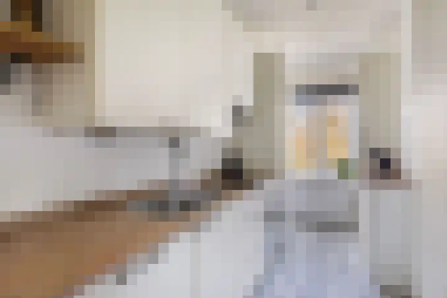 Bosseplaat 101 Rozenburg thumbnail 20