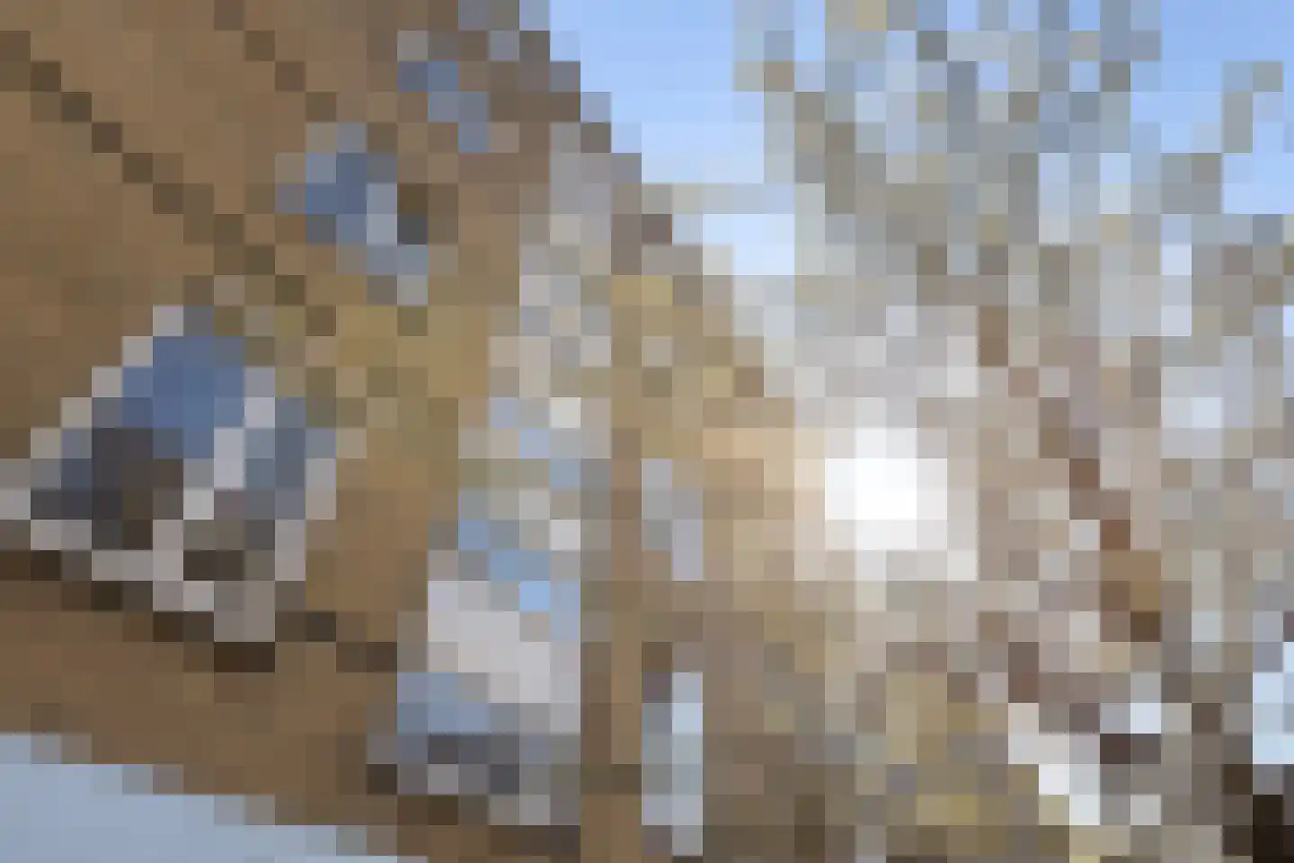 Bosseplaat 101 Rozenburg thumbnail 34