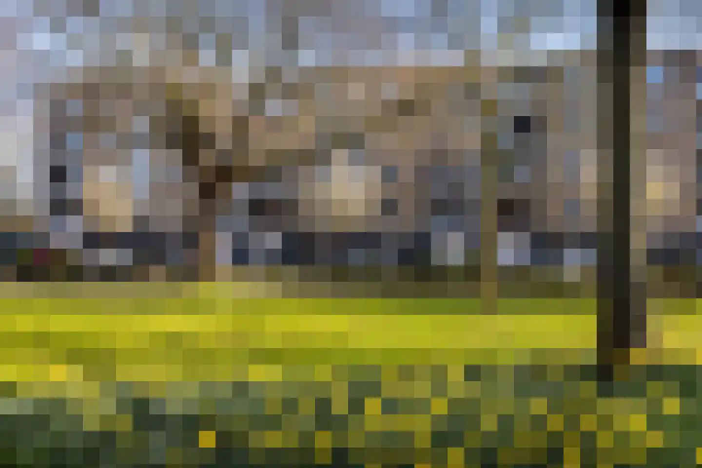 Bosseplaat 101 Rozenburg thumbnail 35