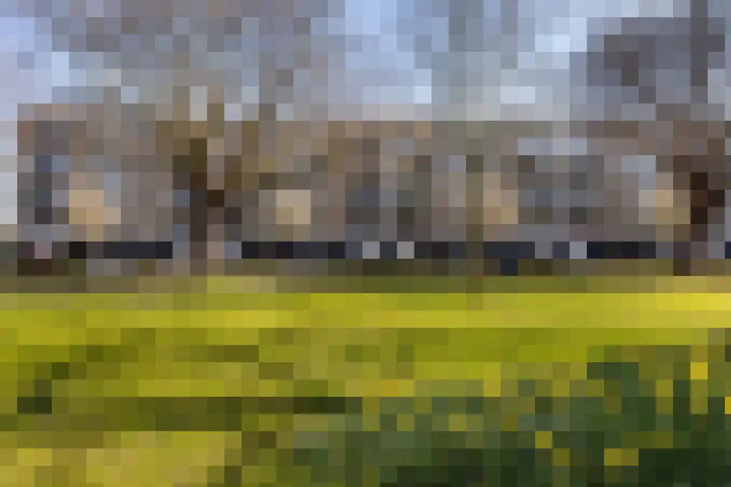 Bosseplaat 101 Rozenburg thumbnail 36