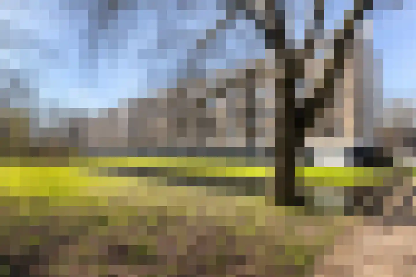 Bosseplaat 101 Rozenburg thumbnail 38