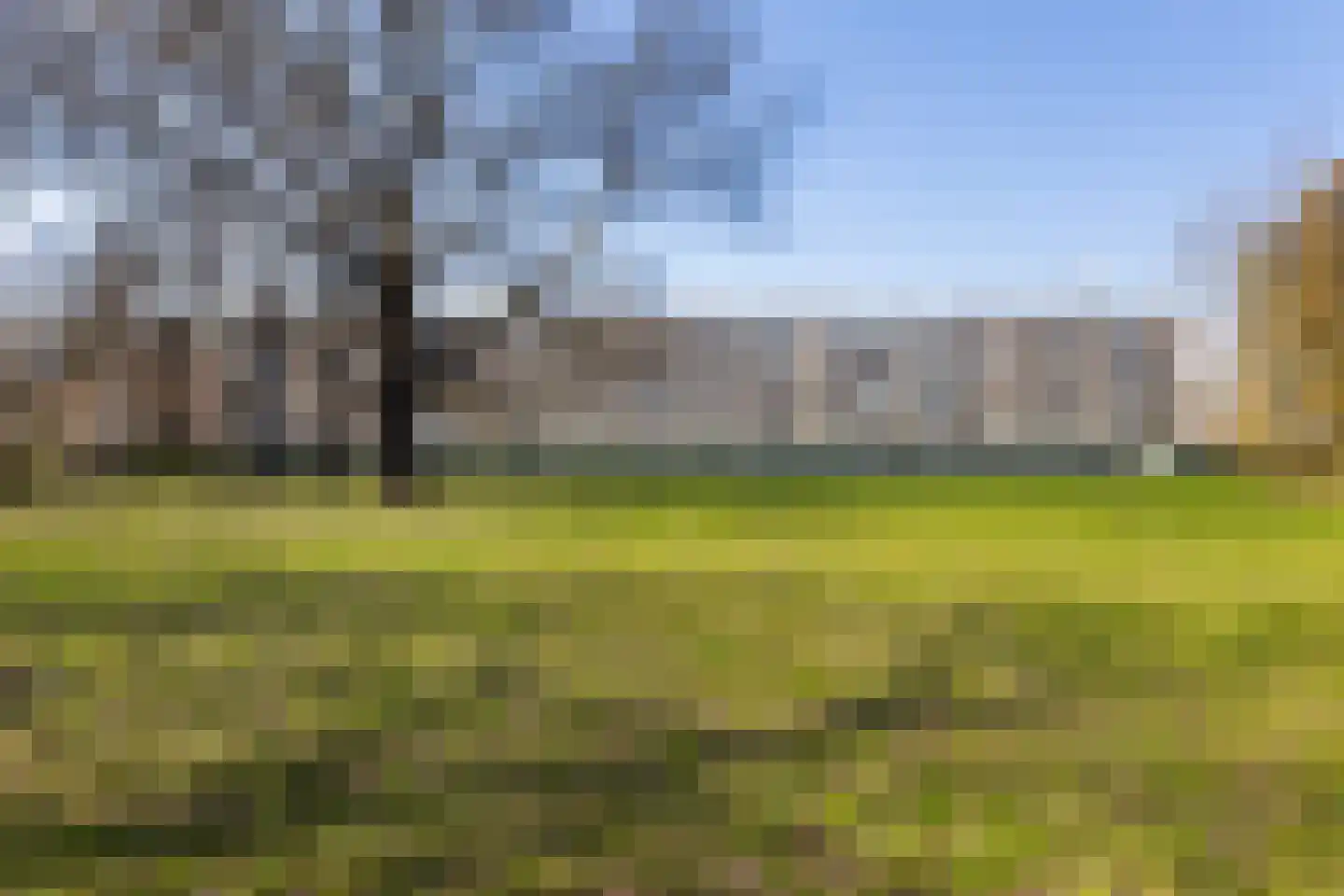 Bosseplaat 101 Rozenburg thumbnail 39