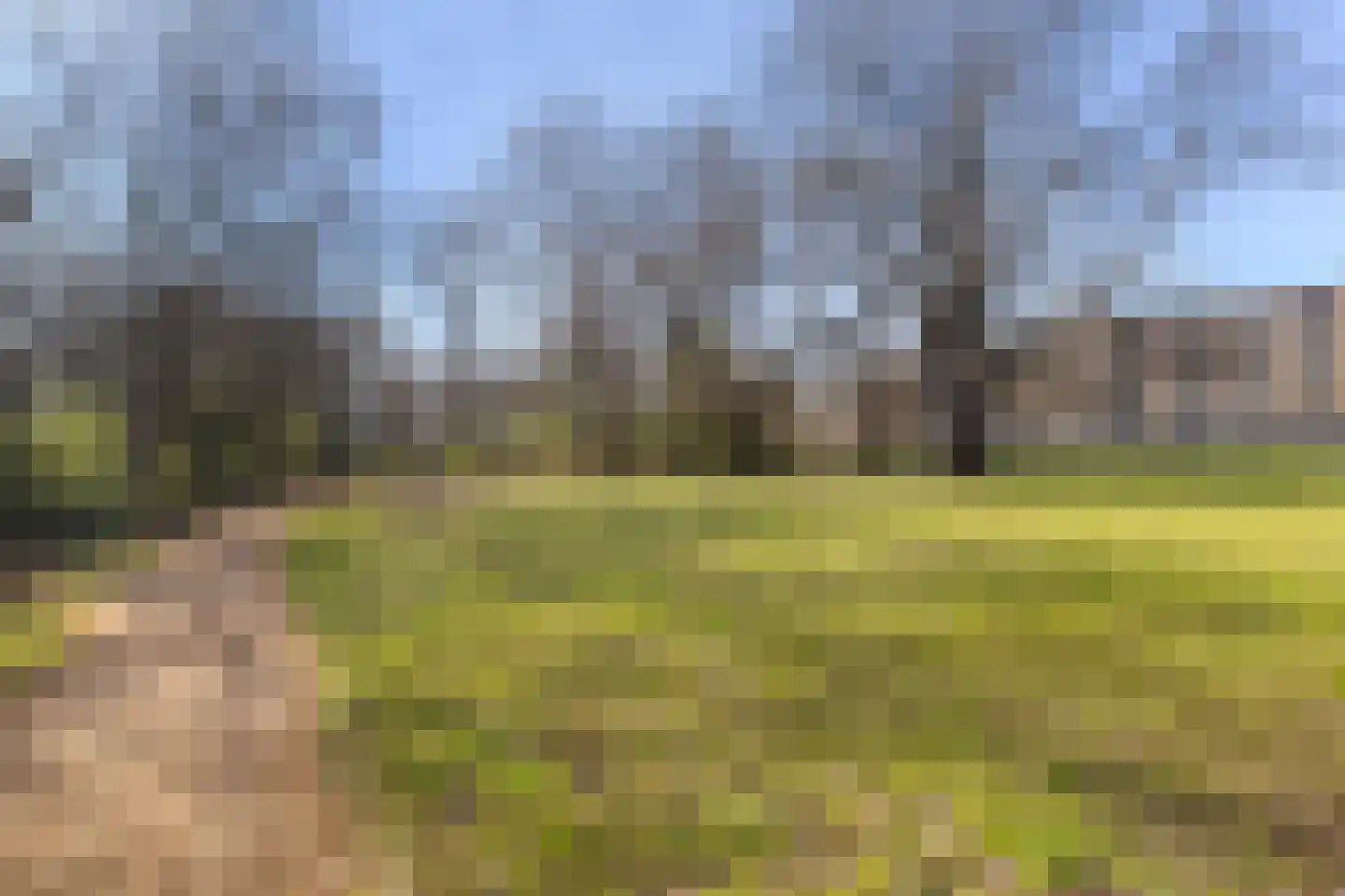 Bosseplaat 101 Rozenburg thumbnail 40