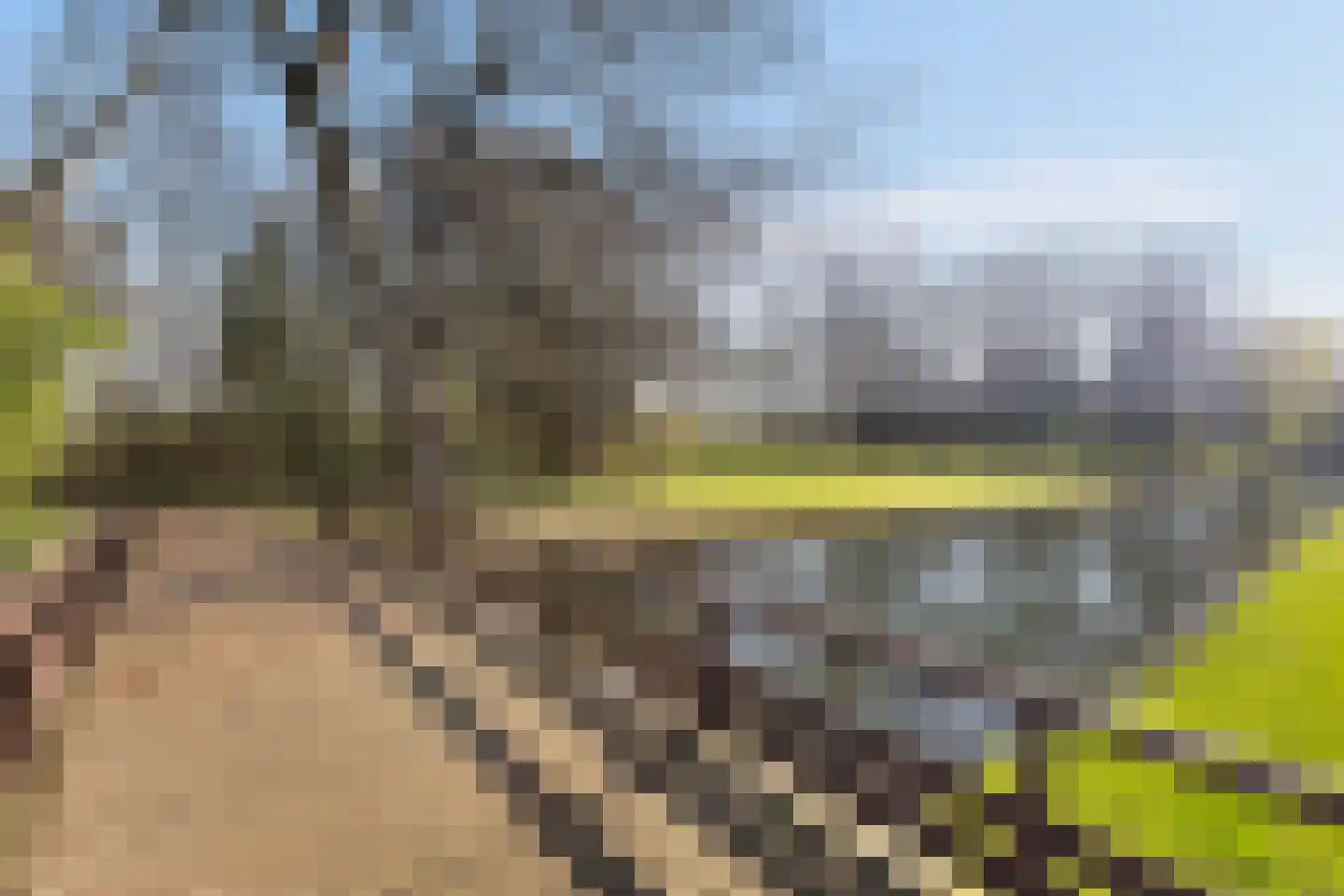 Bosseplaat 101 Rozenburg thumbnail 41