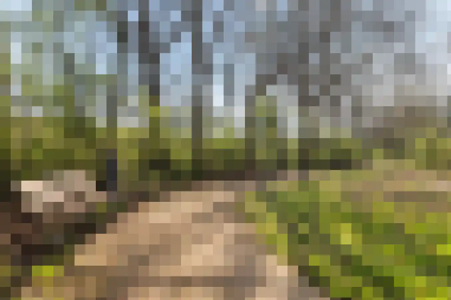 Bosseplaat 101 Rozenburg thumbnail 42