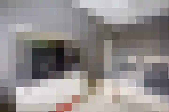 Bosseplaat 105 Rozenburg thumbnail 23