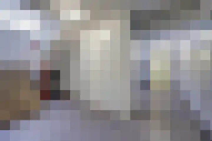 Bosseplaat 105 Rozenburg thumbnail 34