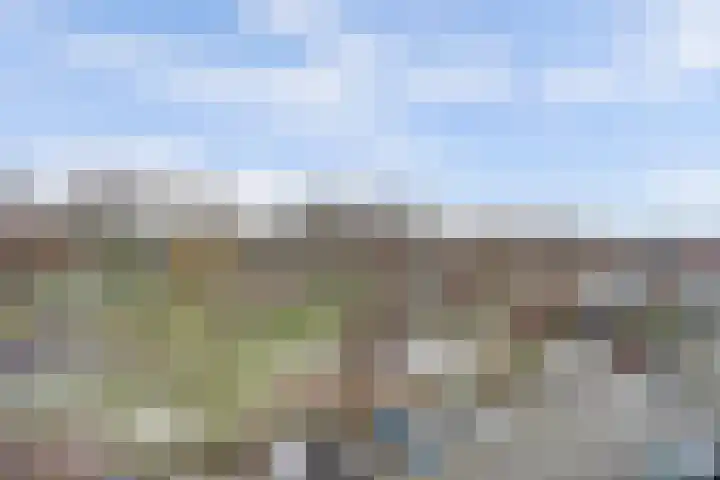 Bosseplaat 105 Rozenburg thumbnail 36