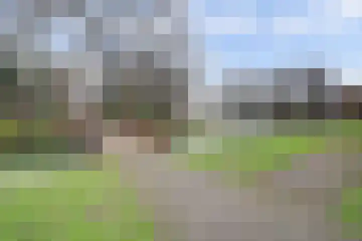 Bosseplaat 105 Rozenburg thumbnail 37