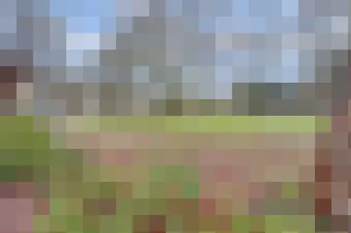 Bosseplaat 105 Rozenburg thumbnail 40