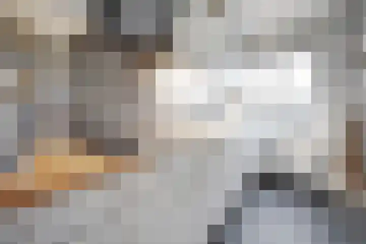 Bosseplaat 105 Rozenburg thumbnail 8