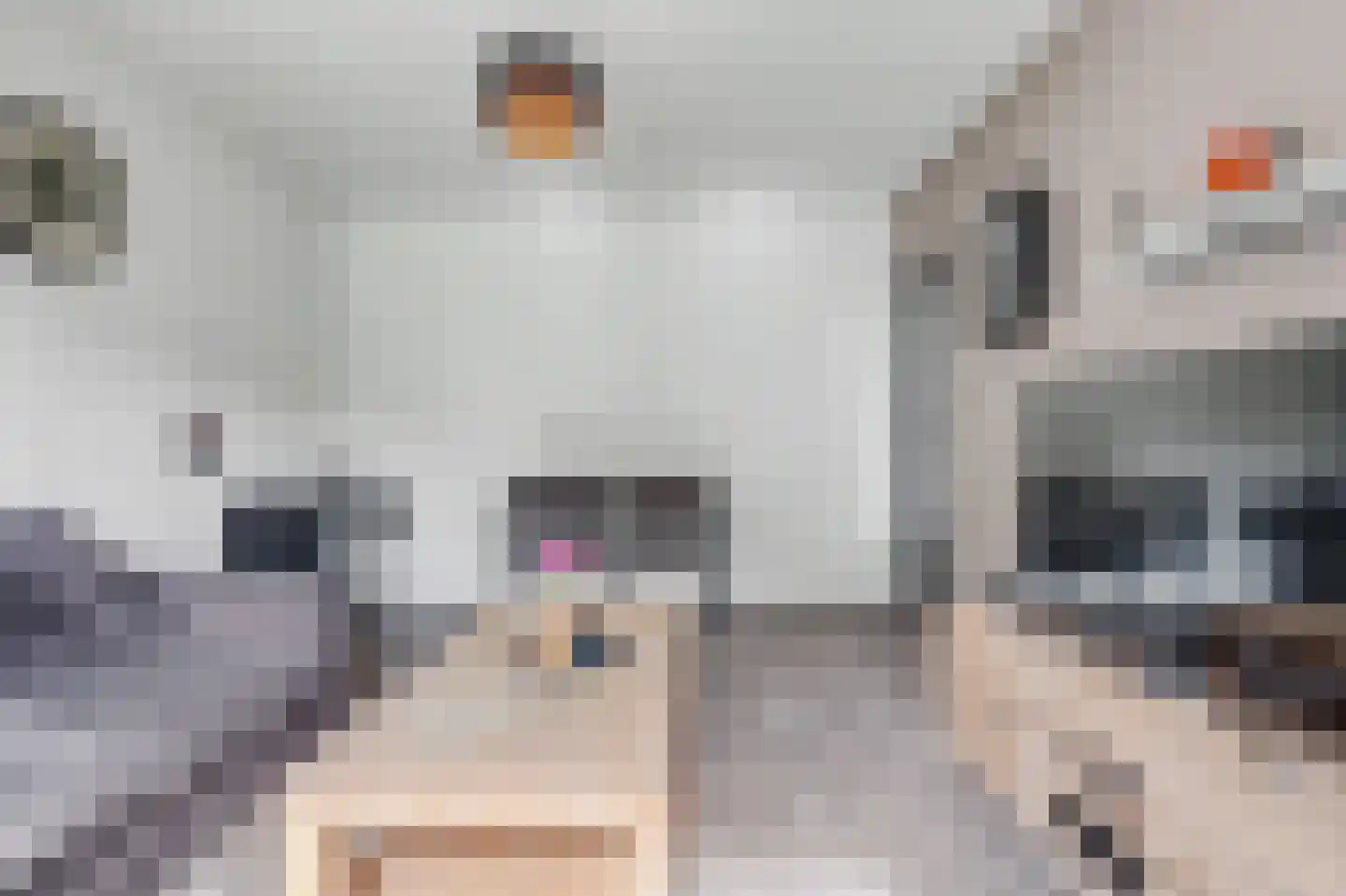 Bosseplaat 121 Rozenburg thumbnail 12