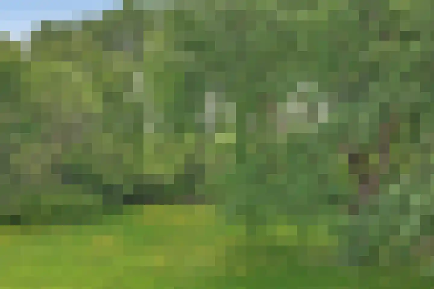 Bosseplaat 121 Rozenburg thumbnail 18