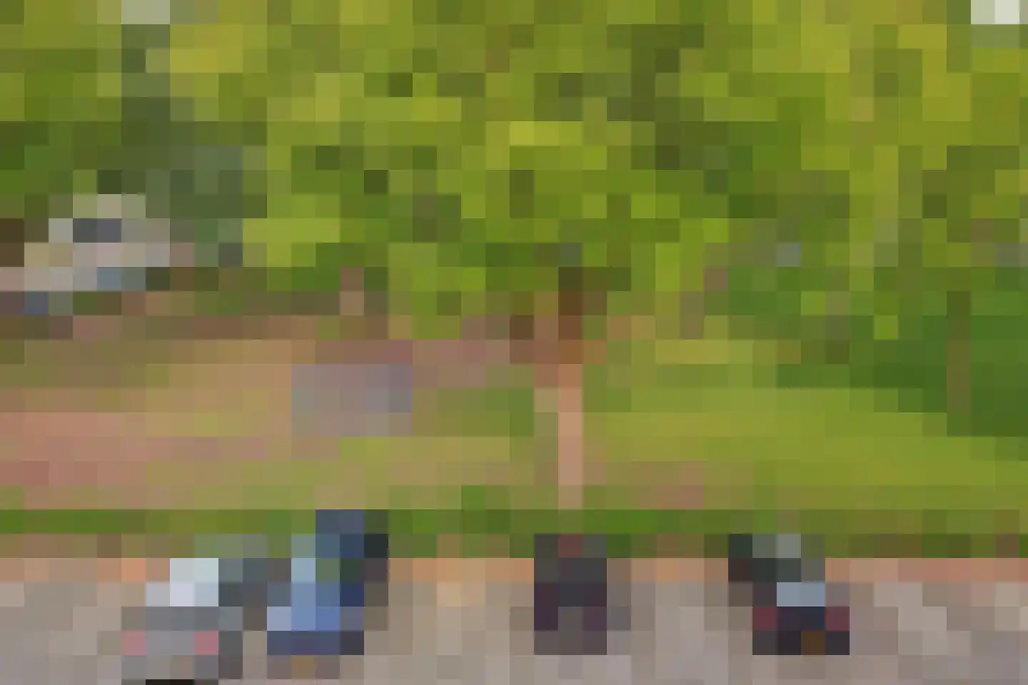Bosseplaat 121 Rozenburg thumbnail 22