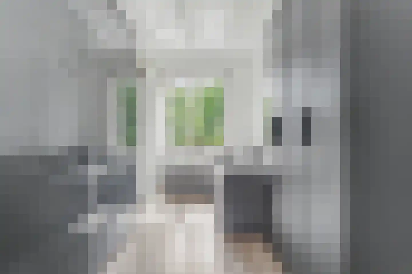 Bosseplaat 121 Rozenburg thumbnail 23