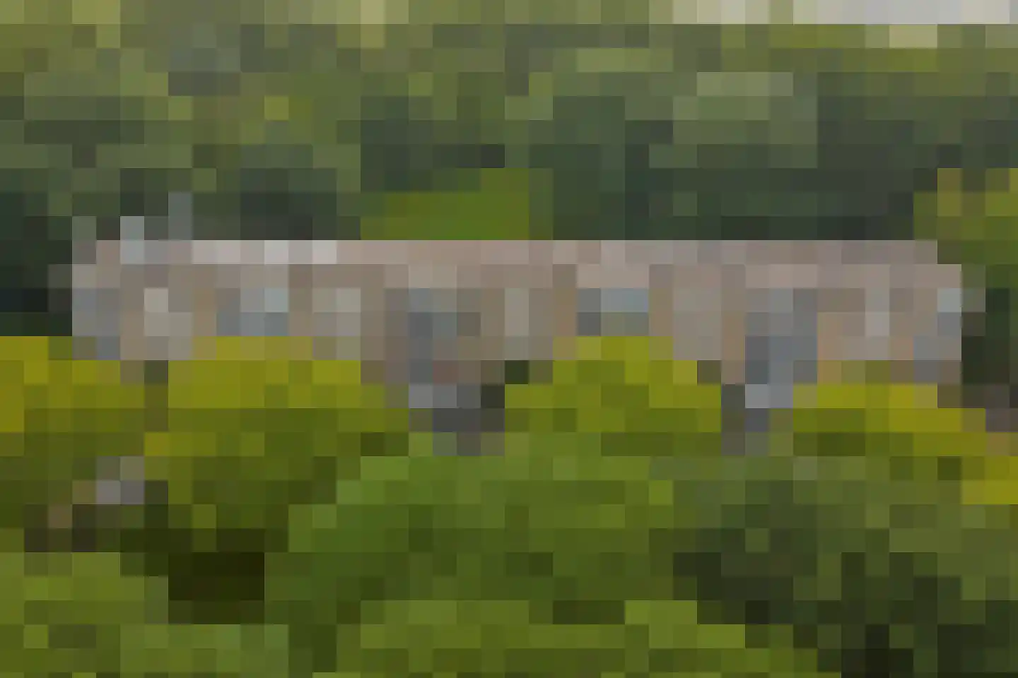 Bosseplaat 121 Rozenburg thumbnail 29