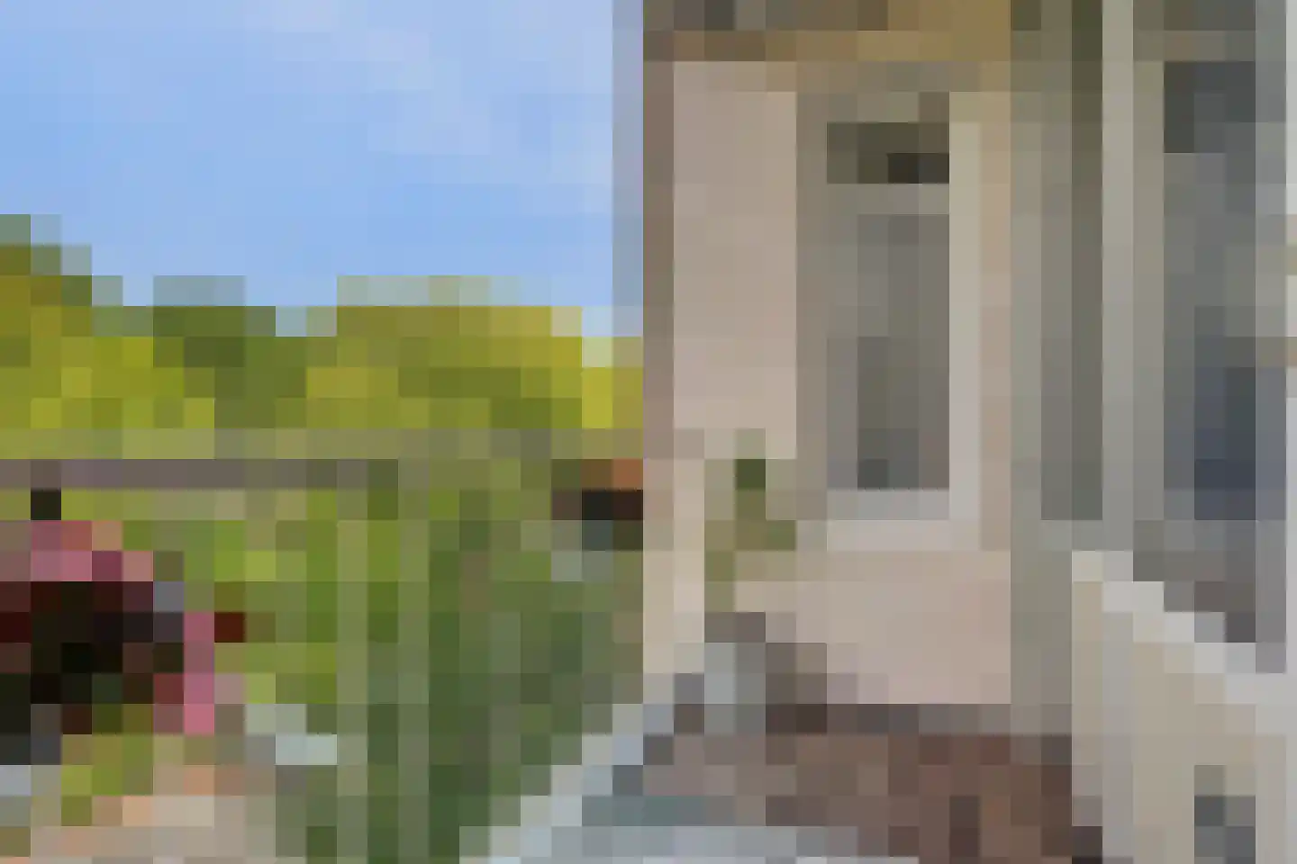 Bosseplaat 121 Rozenburg thumbnail 5
