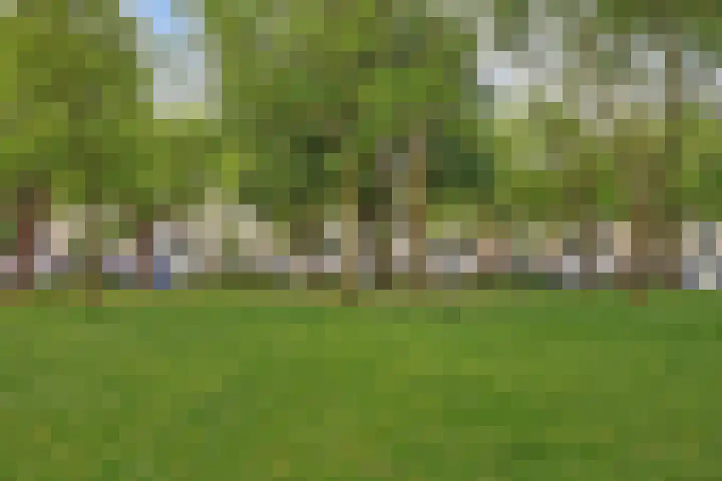 Bosseplaat 121 Rozenburg thumbnail 7