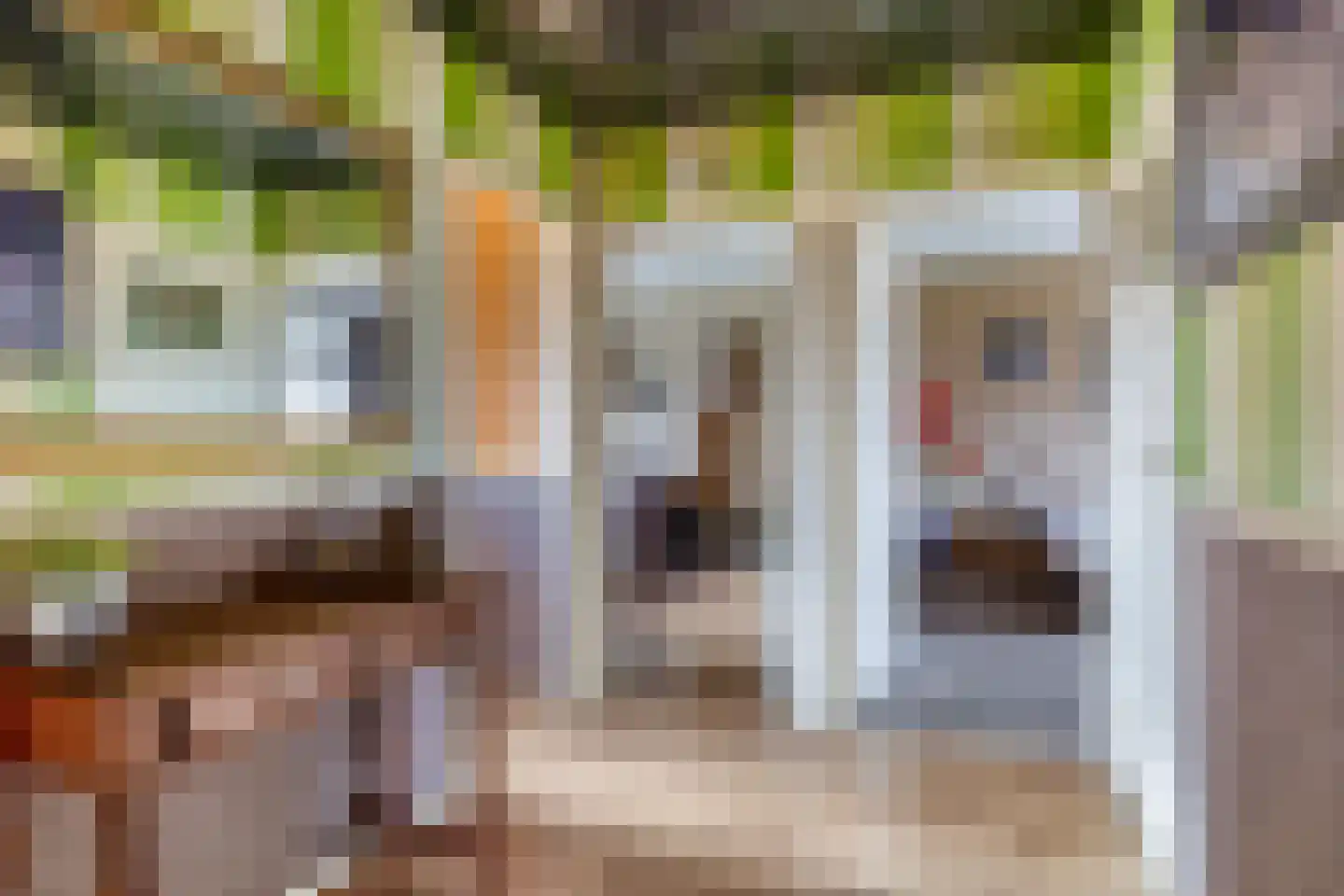 Bosseplaat 125 Rozenburg thumbnail 12