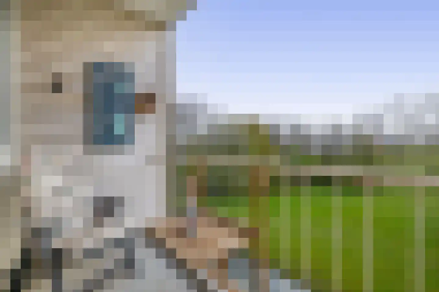 Bosseplaat 125 Rozenburg thumbnail 21