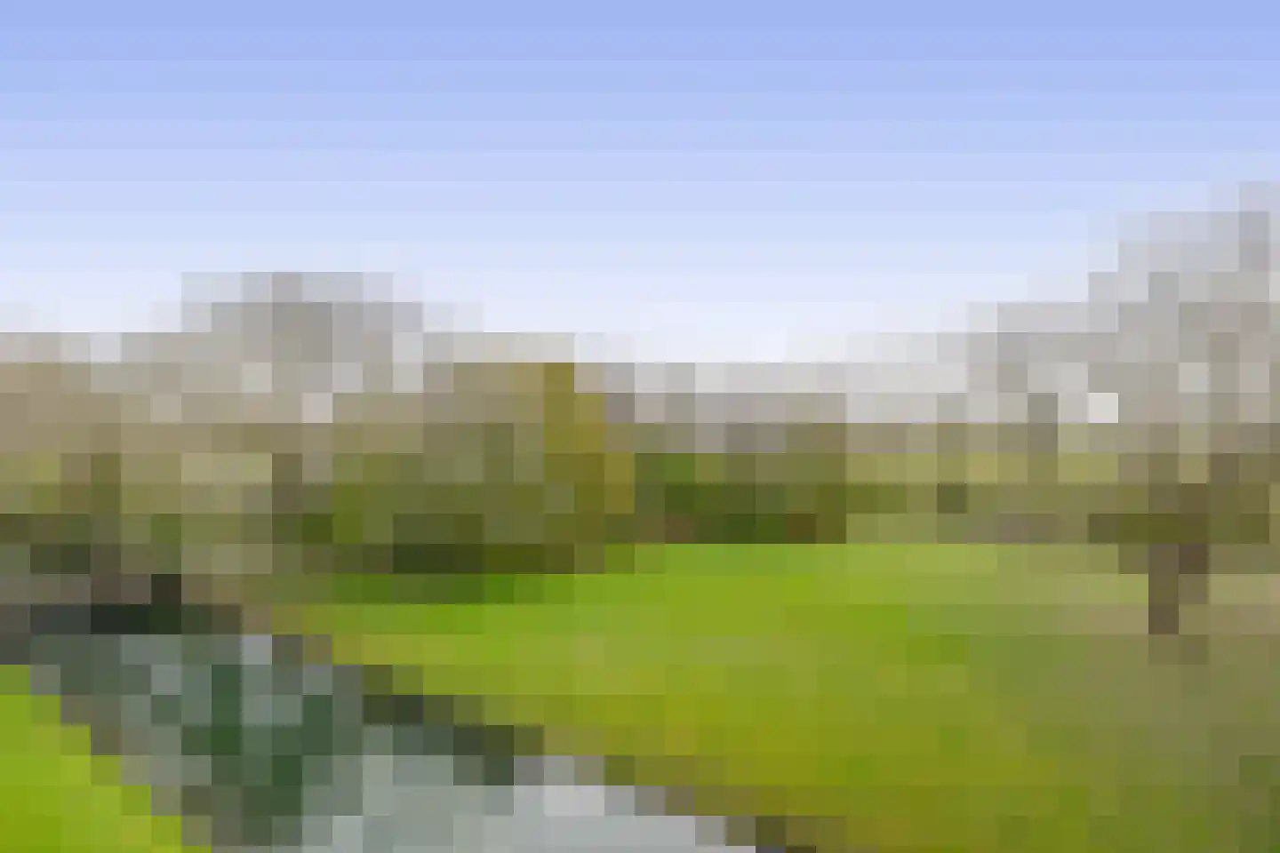 Bosseplaat 125 Rozenburg thumbnail 22