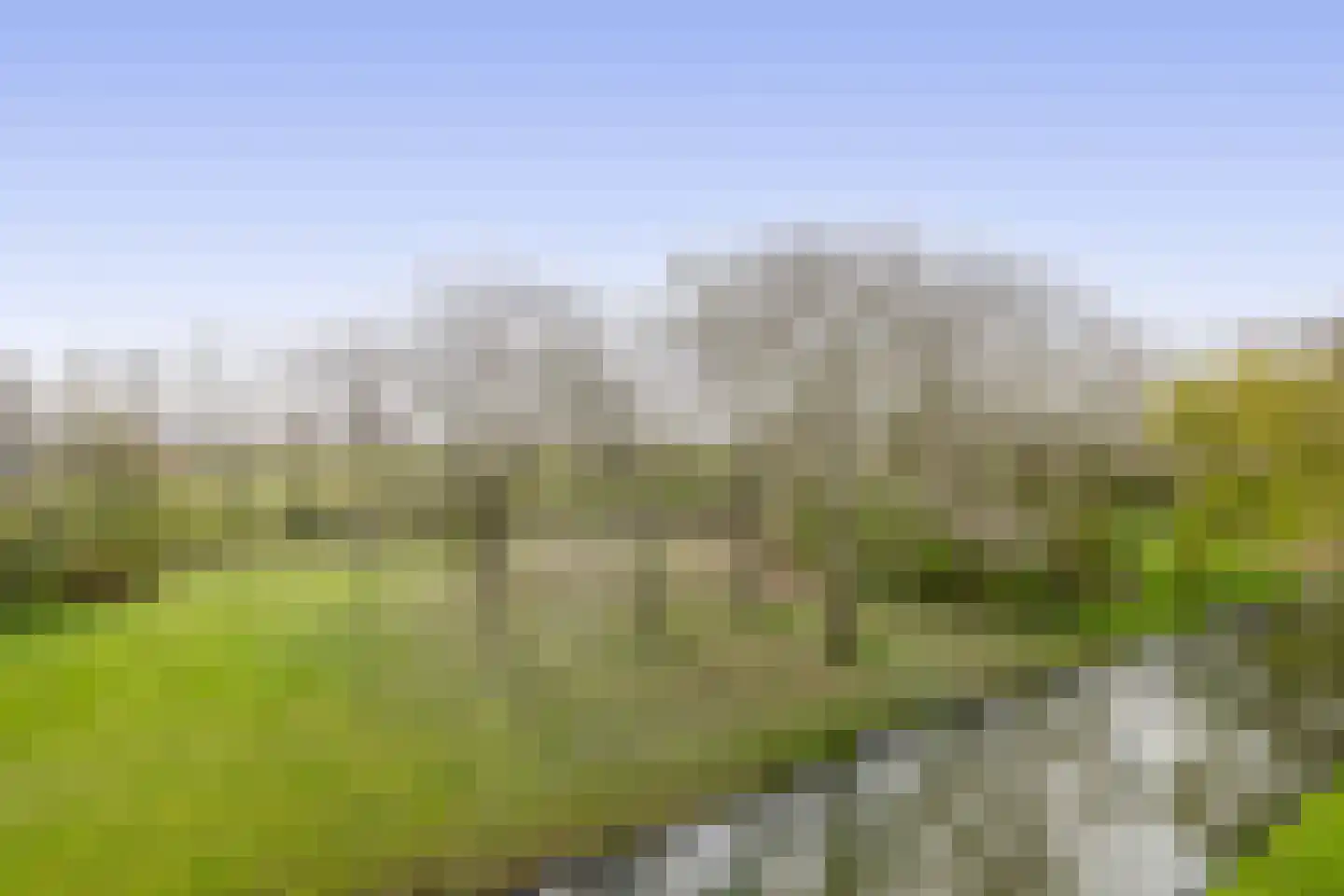 Bosseplaat 125 Rozenburg thumbnail 23