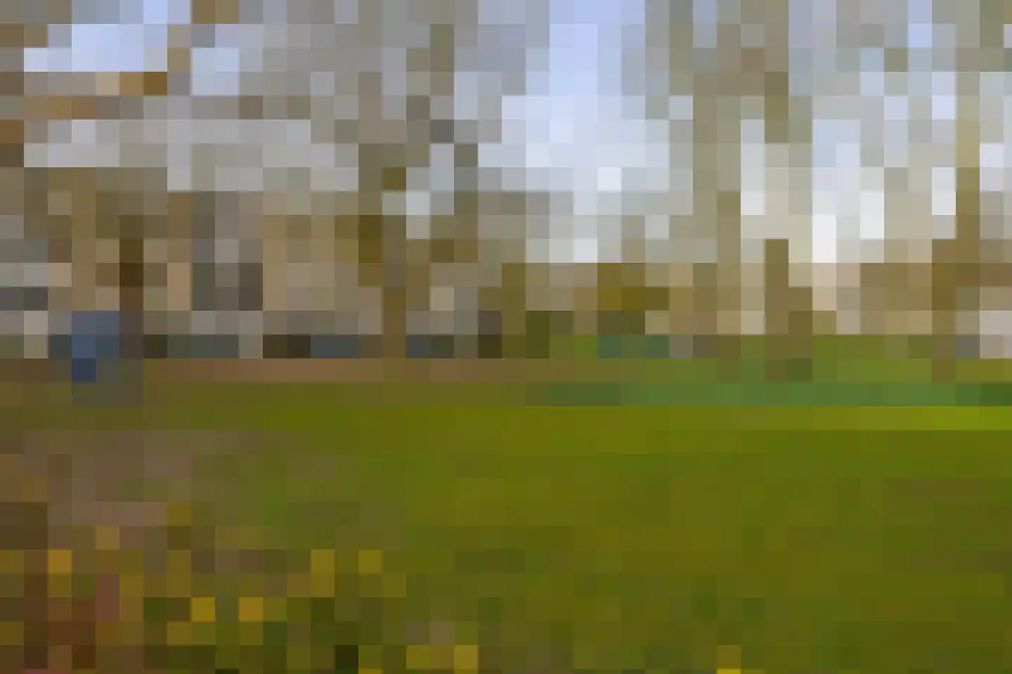 Bosseplaat 125 Rozenburg thumbnail 35