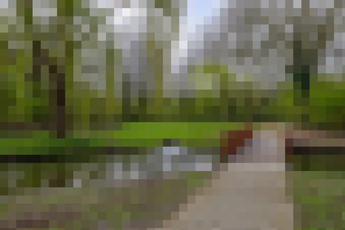 Bosseplaat 125 Rozenburg thumbnail 36