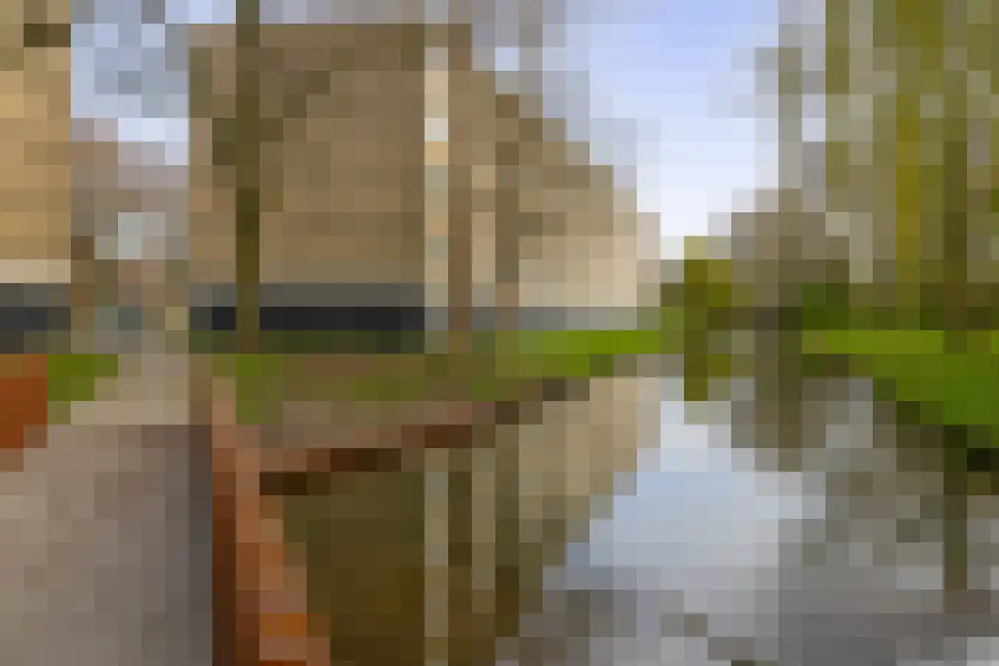 Bosseplaat 125 Rozenburg thumbnail 38