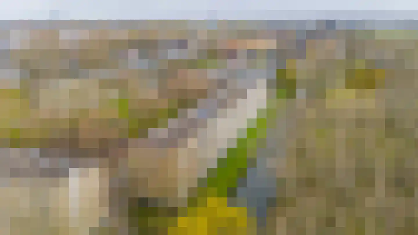 Bosseplaat 125 Rozenburg thumbnail 40