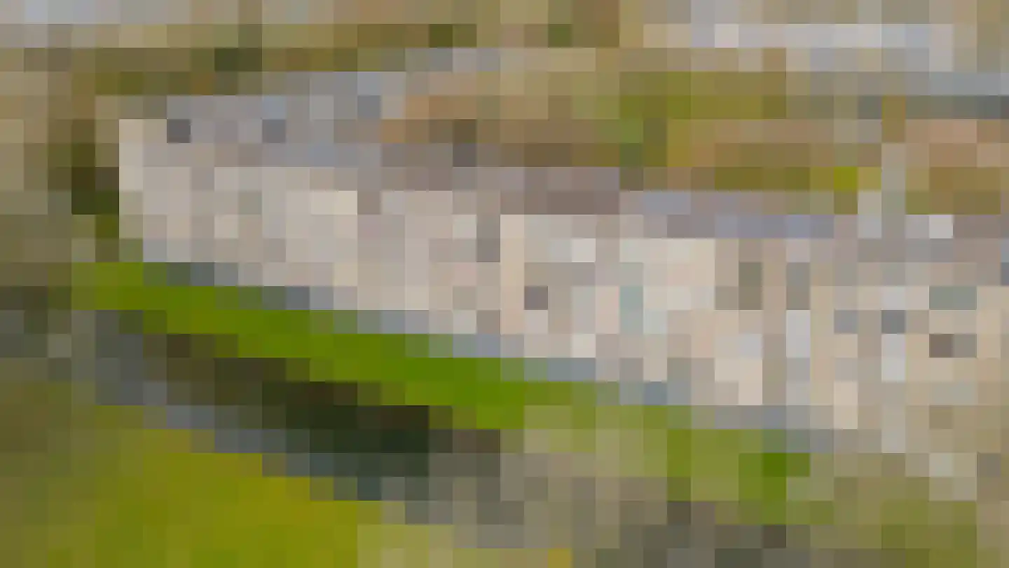 Bosseplaat 125 Rozenburg thumbnail 41