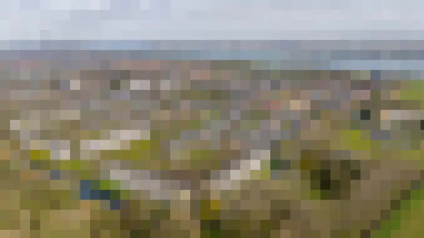 Bosseplaat 125 Rozenburg thumbnail 42