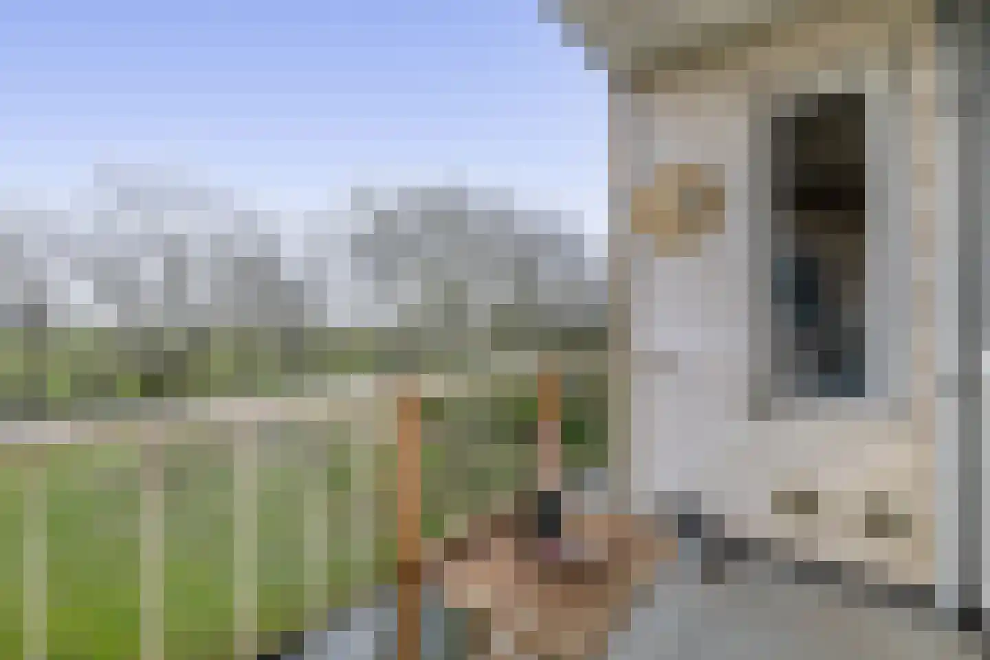 Bosseplaat 125 Rozenburg thumbnail 5