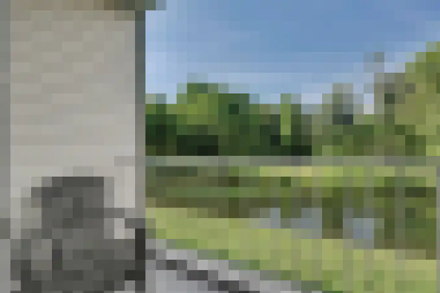 Bosseplaat 233 Rozenburg thumbnail 19
