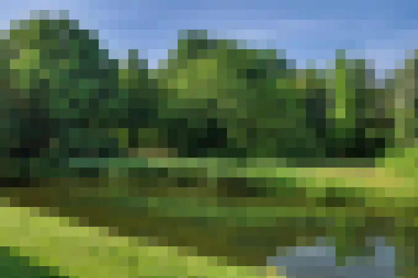 Bosseplaat 233 Rozenburg thumbnail 20