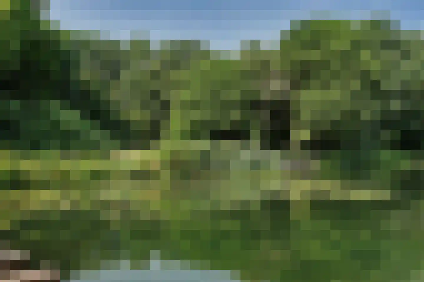 Bosseplaat 233 Rozenburg thumbnail 22