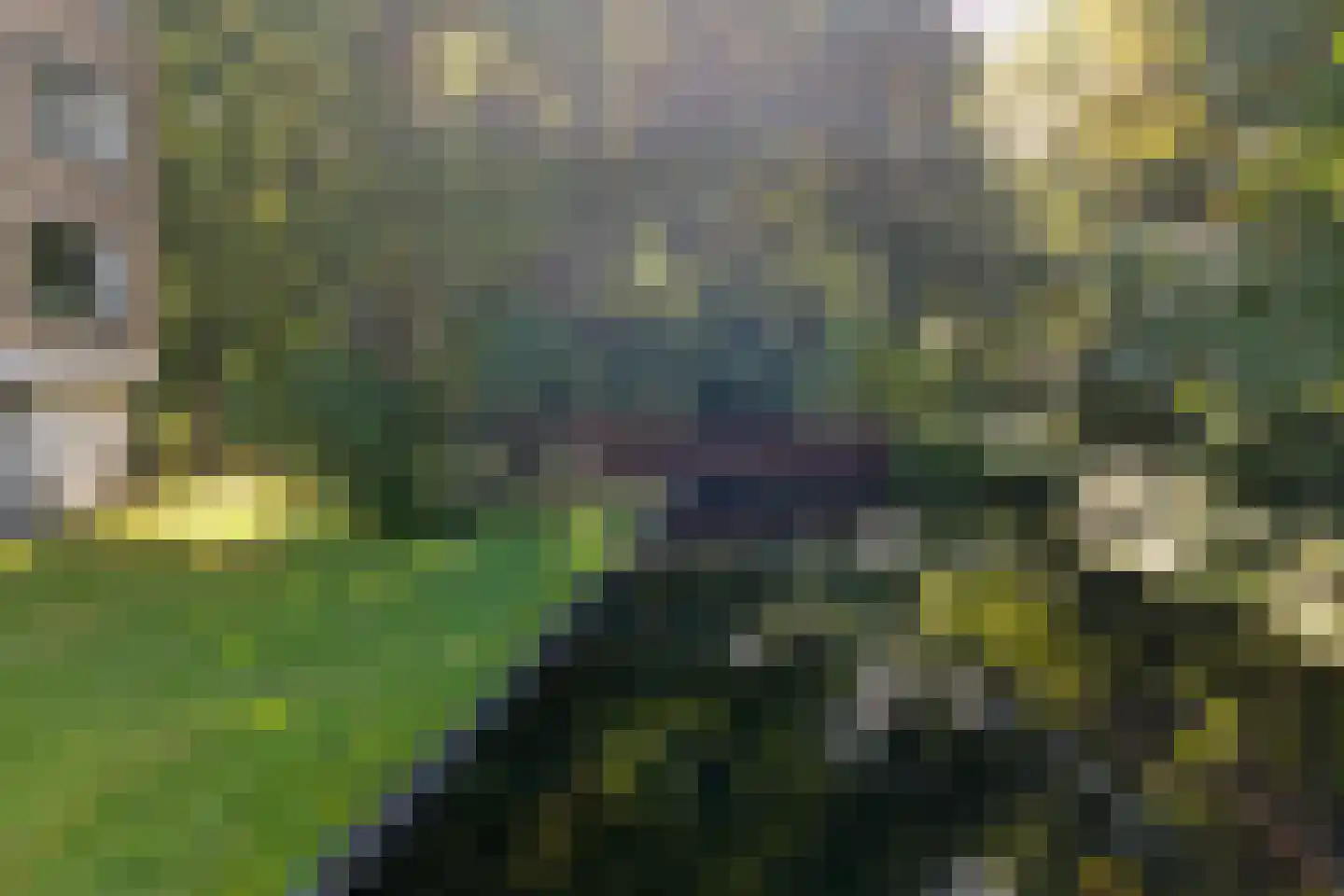 Bosseplaat 233 Rozenburg thumbnail 26