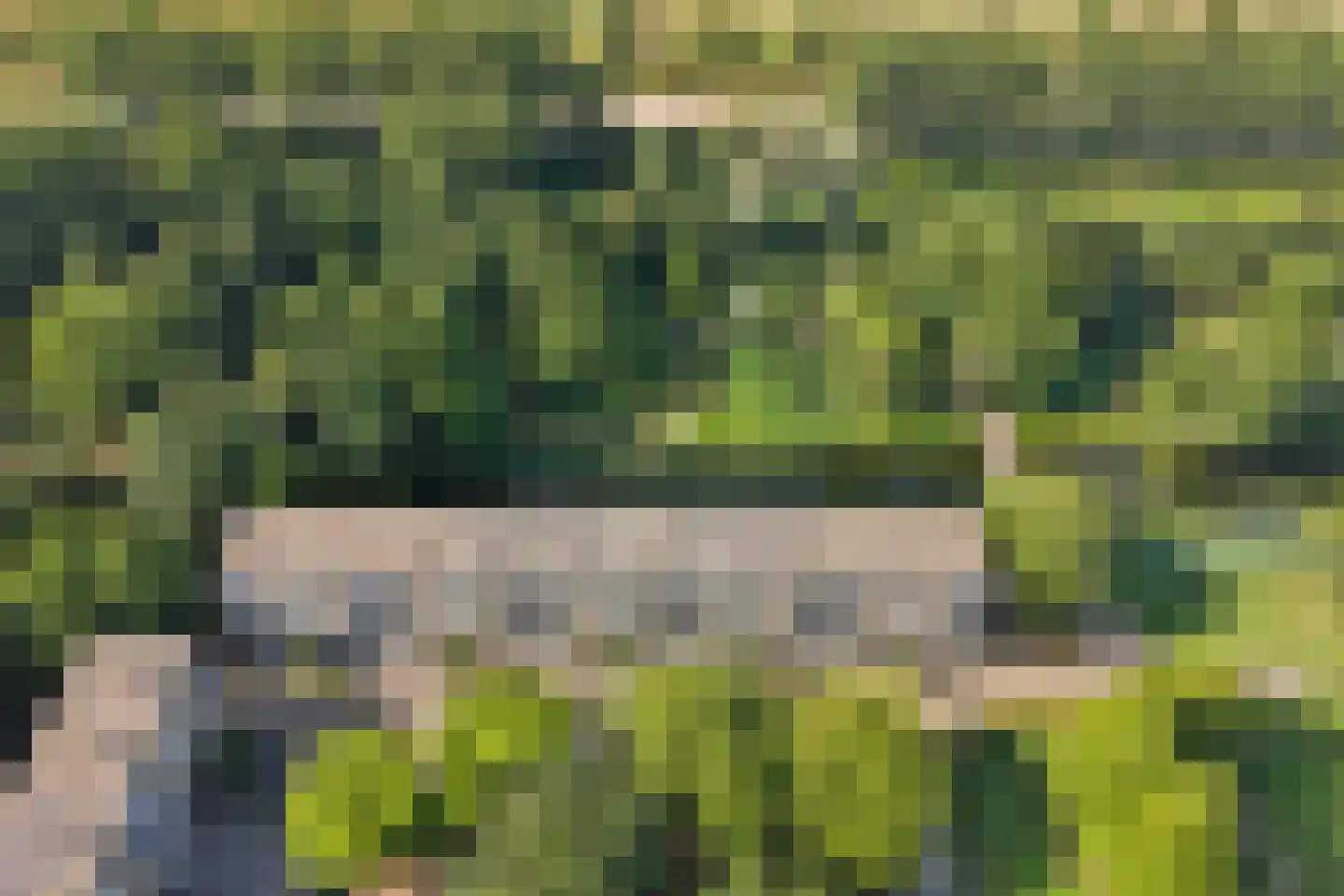 Bosseplaat 233 Rozenburg thumbnail 29