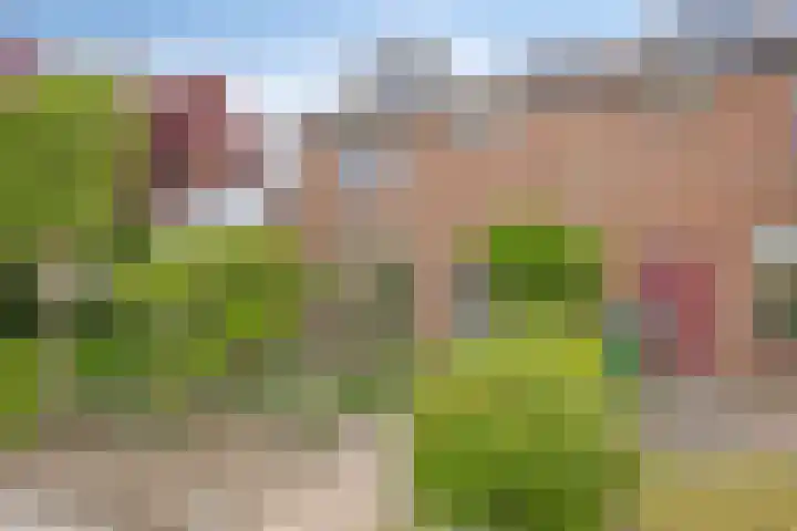 Bosserdijk 20 Hoogland thumbnail 4