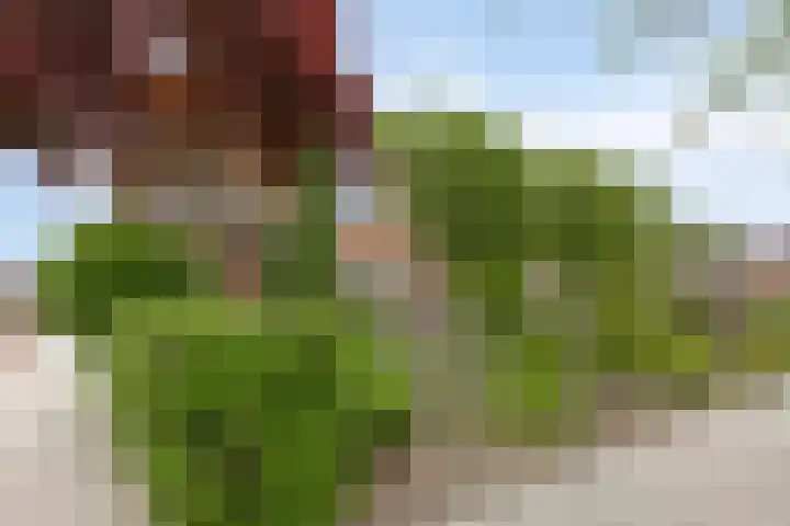 Bosserdijk 20 Hoogland thumbnail 5