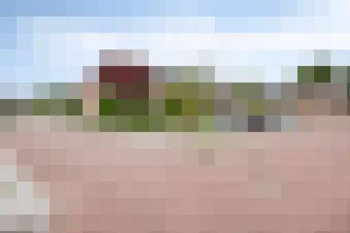 Bosserdijk 20 Hoogland thumbnail 6