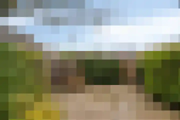Bosserdijk 63 Hoogland thumbnail 21