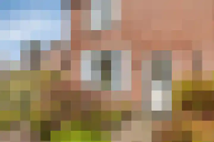 Bosserdijk 63 Hoogland thumbnail 7