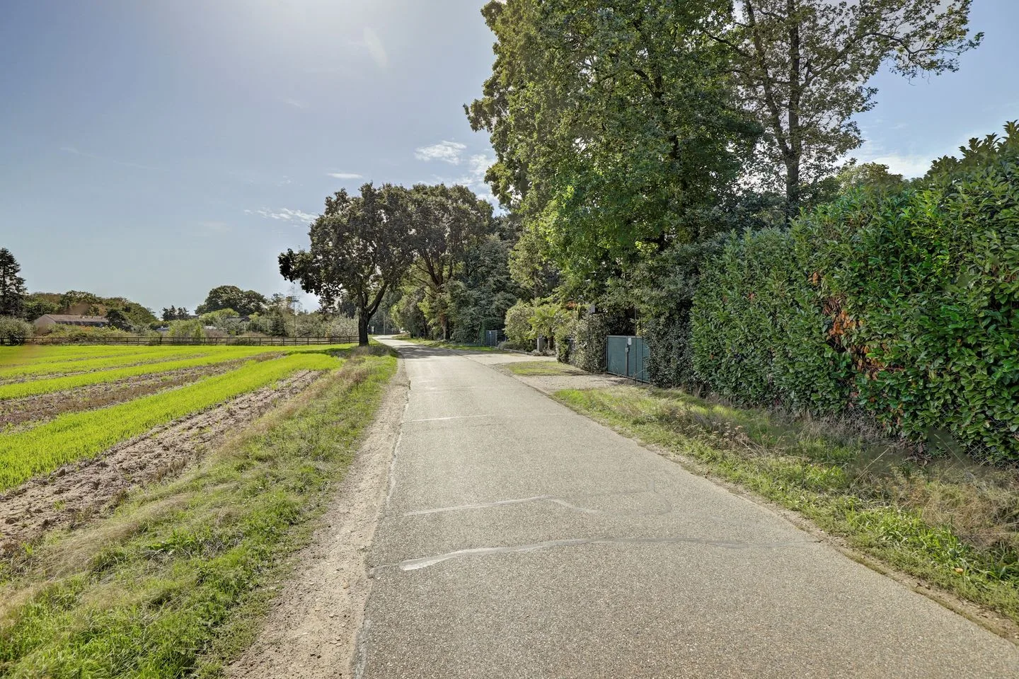 Bosserheide 43 a Well L thumbnail 10