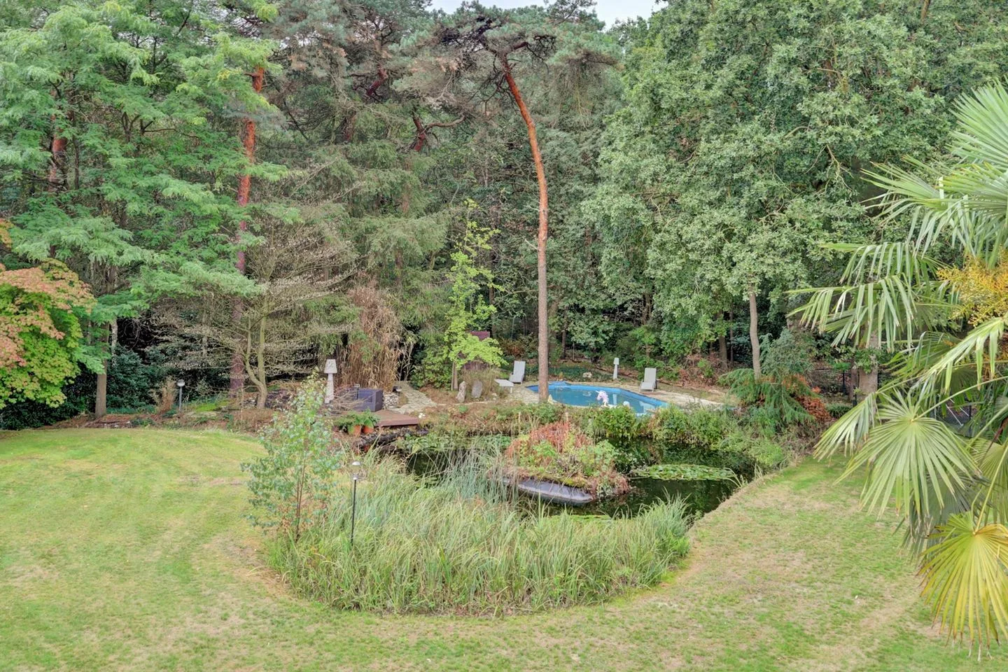 Bosserheide 43 a Well L thumbnail 119