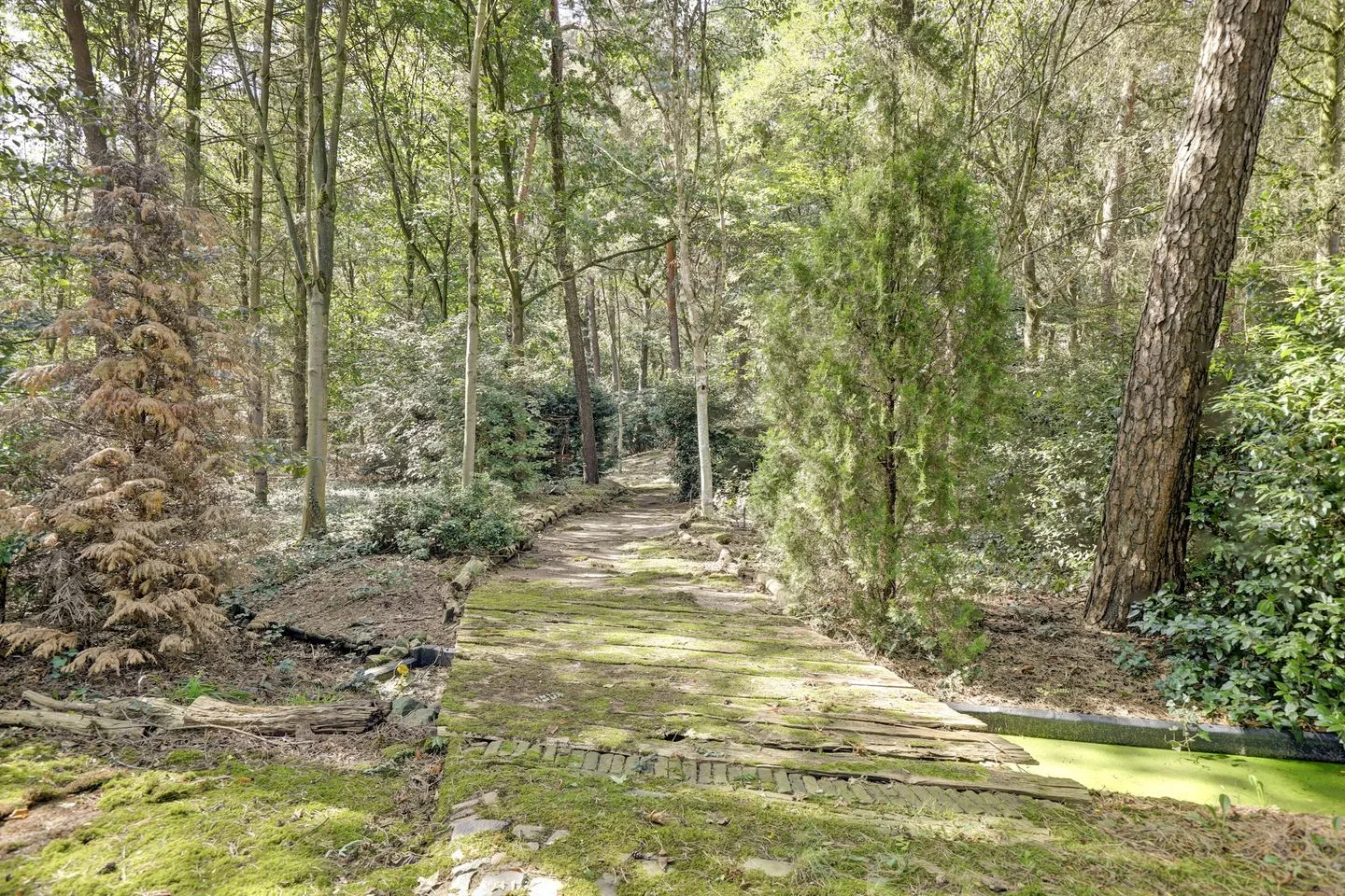 Bosserheide 43 a Well L thumbnail 129