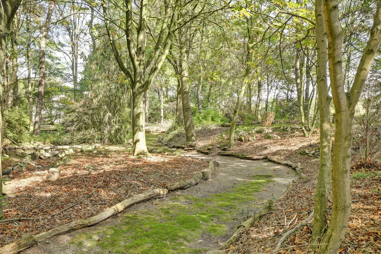Bosserheide 43 a Well L thumbnail 133